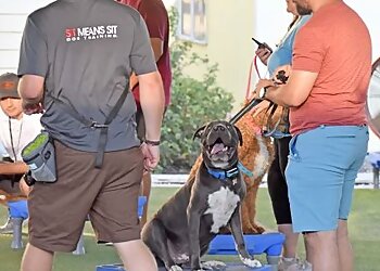 San Antonio Dog Training Sit Means Sit Dog Training