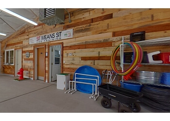 Sit Means Sit Dog Training Albuquerque