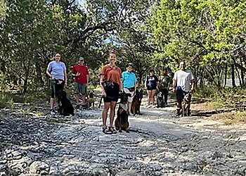 Austin Dog Training Sit Means Sit Dog Training Austin