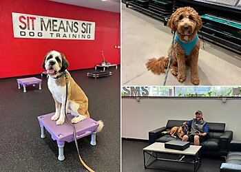 Cleveland Dog Training Sit Means Sit Dog Training Cleveland & Akron