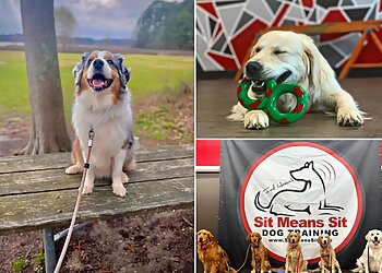 Raleigh Dog Training Sit Means Sit Dog Training Raleigh