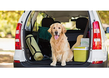 Oklahoma City Dog Training Sit Means Sit Dog Training OKC