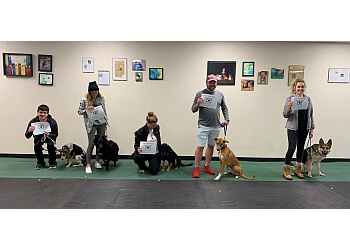 SitStay Dog Training