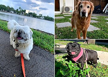 Fort Lauderdale Dog Walkers Sitter4Paws