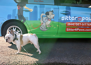 Scottsdale Dog Walkers Sitter4Paws