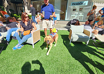 Sitters by the Sea - Virginia Beach, VA Dog Walkers - Service Image