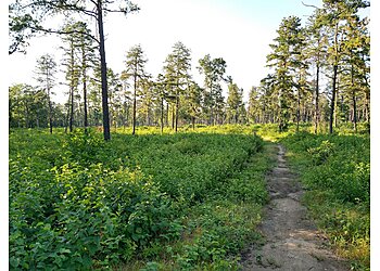 Albany Hiking Trails Six Mile Waterworks Park