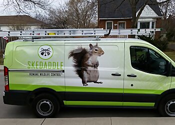 Skedaddle Humane Wildlife Control Milwaukee Animal Removal image 1