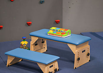 Washington Occupational Therapists Skills on the Hill