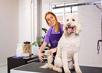 Charlotte Pet Grooming Skiptown