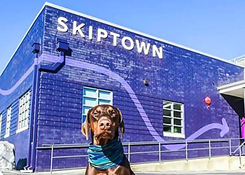 Charlotte Pet Grooming Skiptown