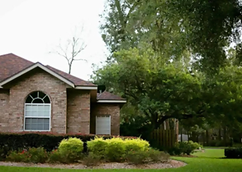 Gainesville Landscaping Companies SkyFrog Landscape LLC