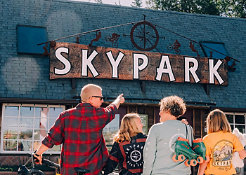SkyPark at Santa's Village SkyPark at Santa's Village - San Bernardino, CA Amusement Parks - Adventure Image