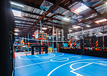 Sky Zone Timonium Sky Zone Timonium - Baltimore, MD Amusement Parks - Attraction Image