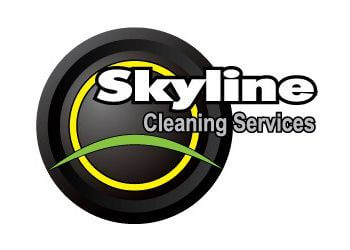Skyline Cleaning LLC
