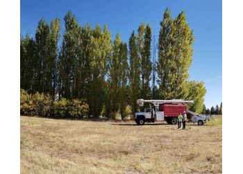Skyline Tree Service llc - Spokane, WA Tree Services - Outdoor Work Image