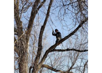 Skyline Tree Service llc - Spokane, WA Tree Services - Service Highlights