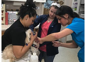 Lubbock Veterinary Clinics Small Animal Emergency Clinic