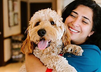 Milwaukee Veterinary Clinics Small Animal Hospital