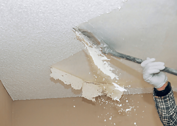 Small Restore, LLC - Buffalo, NY Handyman - Job Site Image