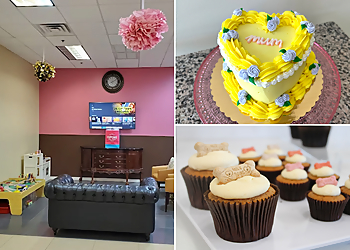 Jacksonville Cakes Smallcakes Cupcakery & Creamery Jacksonville