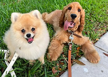 Smart Start Puppies Fort Lauderdale Dog Training image 1