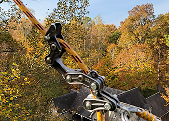 Durham Tree Services Smart Tree Service, LLC