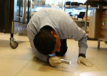 Smithereen Pest Management Services - Joliet, IL Pest Control Companies - Team Working Image