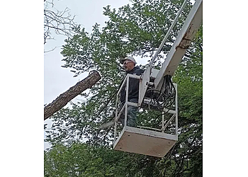 Wichita Falls Tree Services Smith's Lawn & Tree Service