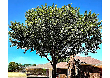 Wichita Falls Tree Services Smith's Lawn & Tree Service