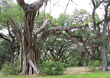 Miramar Places To See Snake Warrior's Island Natural Area