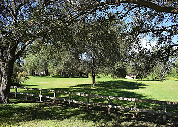 Miramar Places To See Snake Warrior's Island Natural Area