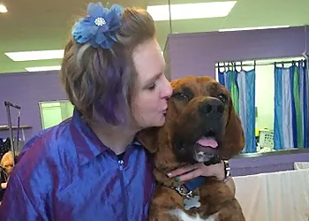Milwaukee Pet Grooming Snipz N Tailz LLC