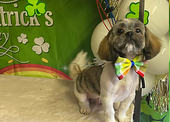 Pasadena Pet Grooming Snuffy's Grooming & Boarding Boutique