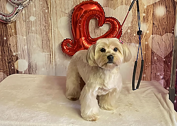 Pasadena Pet Grooming Snuffy's Grooming & Boarding Boutique