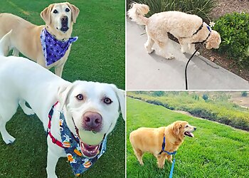 Irvine Dog Walkers Snuggle Pup Care LLC