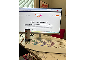 Tyler Web Designers SociaLily Design