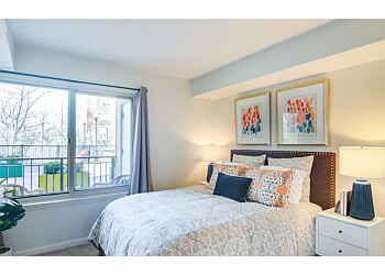 Stamford Apartments For Rent Sofi at 50 Forest