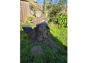 Solano's Tree Service - Salinas, CA Tree Services - Residential Service Image