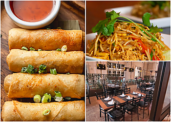 Houston Thai Restaurants Songkran Thai Kitchen