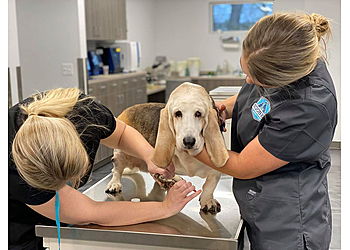 Norman Veterinary Clinics Sooner Veterinary Hospital