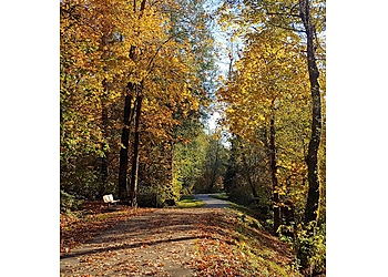 Kent Hiking Trails Soos Creek Park