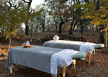 Sophie's Therapeutic Massage - Santa Rosa, CA Massage Therapy - Medical Procedure Image