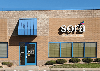 Sora Therapy Minneapolis Occupational Therapists