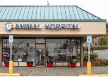 Tacoma veterinary clinic Soundview Veterinary Hospital