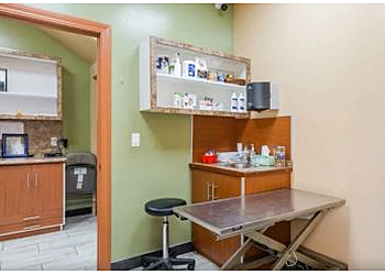 Chula Vista Veterinary Clinics South Bay Veterinary Hospital