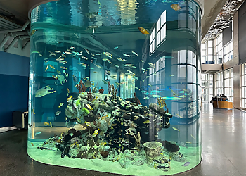 Charleston Places To See South Carolina Aquarium