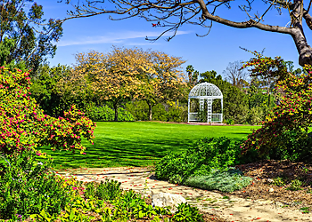 Torrance Places To See South Coast Botanic Garden