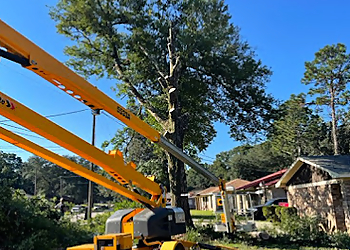 South Coast Outdoor Services LLC  Mobile Tree Services image 1