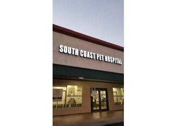 South Coast Pet Hospital Santa Ana Veterinary Clinics